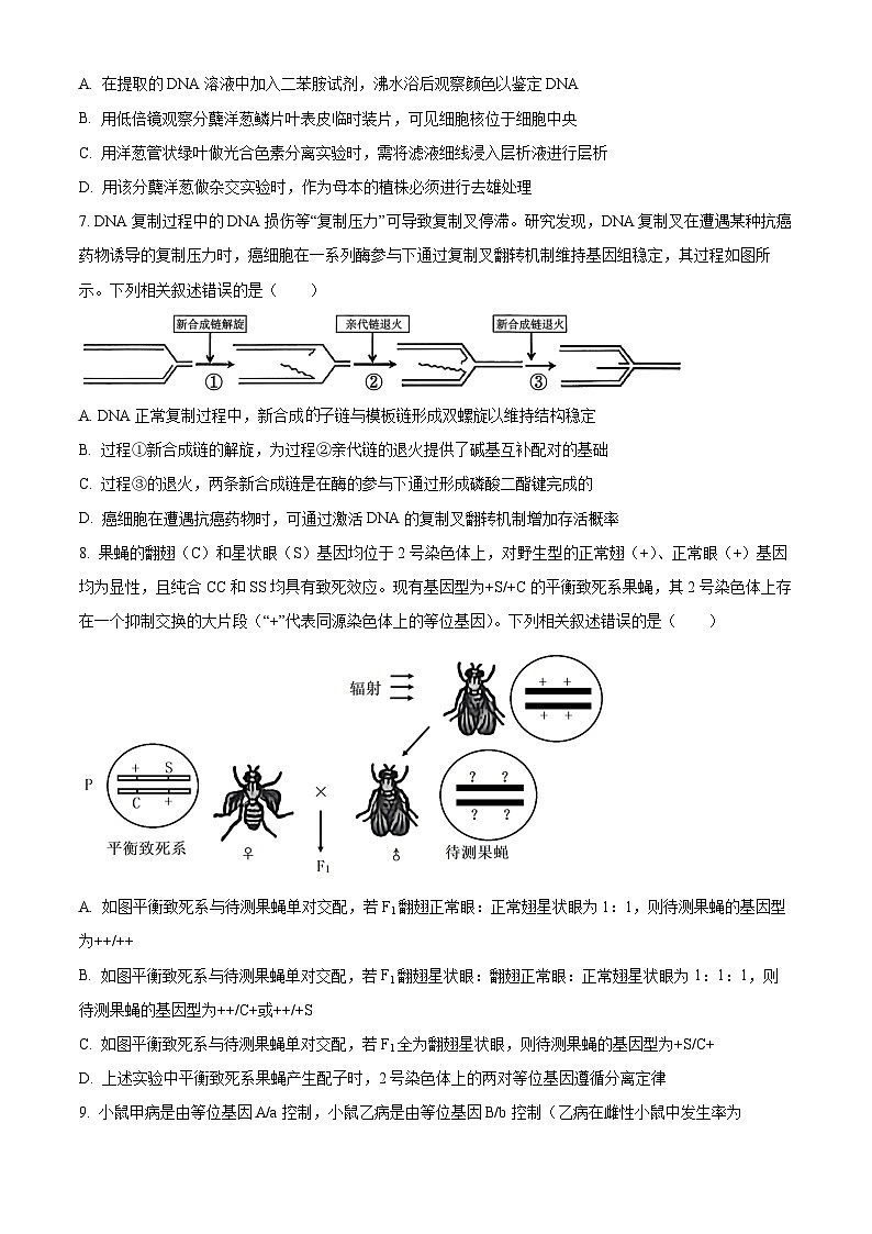 淮北市2026届高三上学期第一次质量检测生物学试题(原卷版)第3页