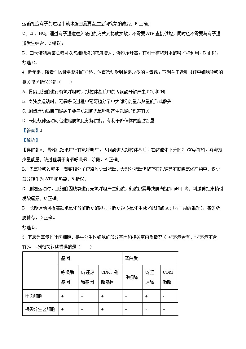 淮北市2026届高三上学期第一次质量检测生物学试题(解析版)第3页