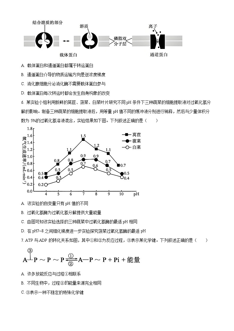 四川省华蓥中学2025-2026学年高一下学期开学考试生物试题(原卷版)第2页