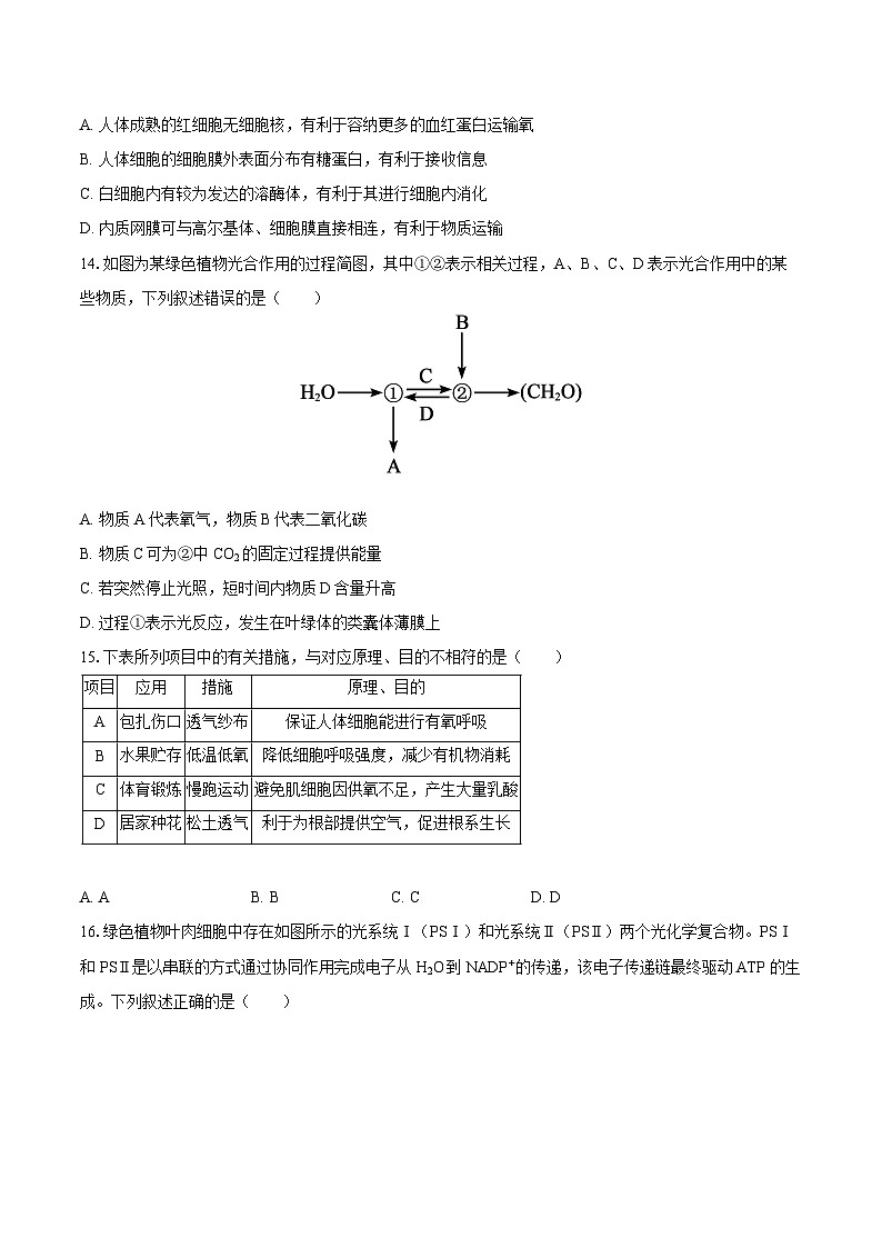 辽宁省鞍山市海城市2025-2026学年高一(上)期末生物试卷第3页