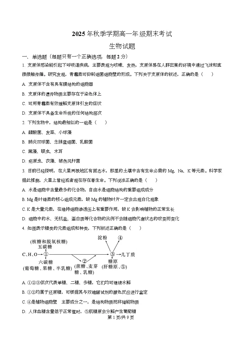 湖北恩施土家族苗族自治州恩施州高中教学联盟2025年秋季学期高一年级期末考试生物试题 Word版无答案第1页