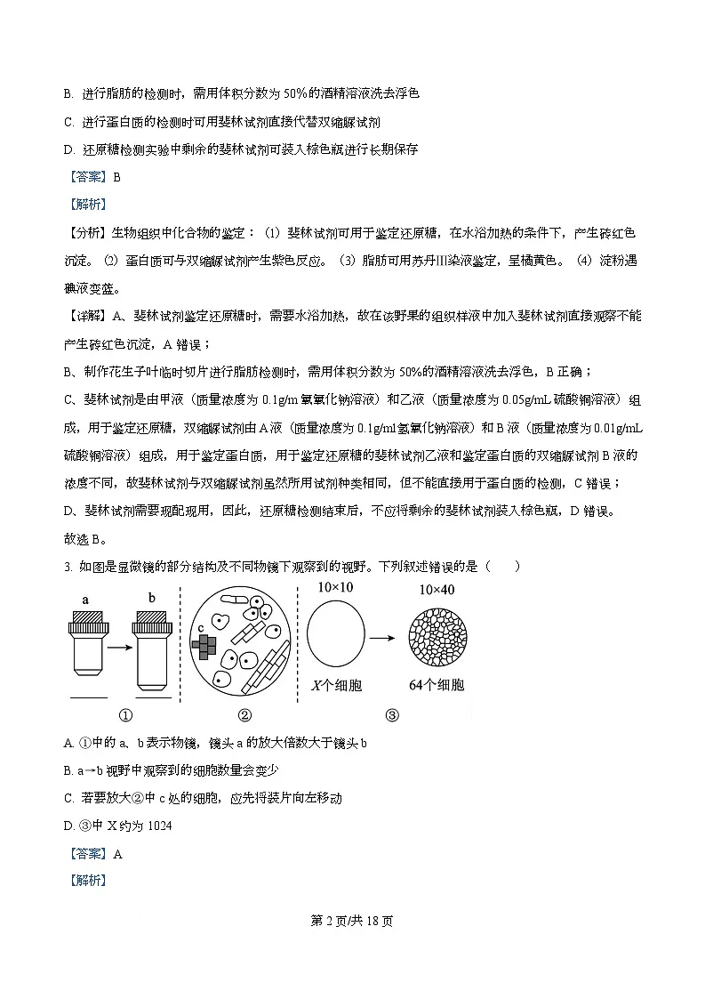 湖北省武汉市2025-2026学年度上学期期末高一年级生物学科训练试题 Word版含解析第2页