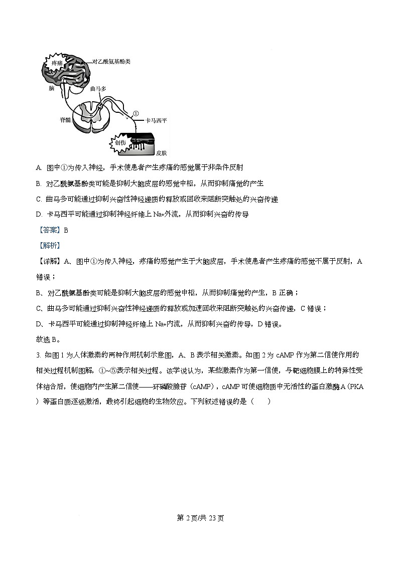 湖北武汉二中2025-2026学年度上学期高二年级期末考试生物试卷 Word版含解析第2页