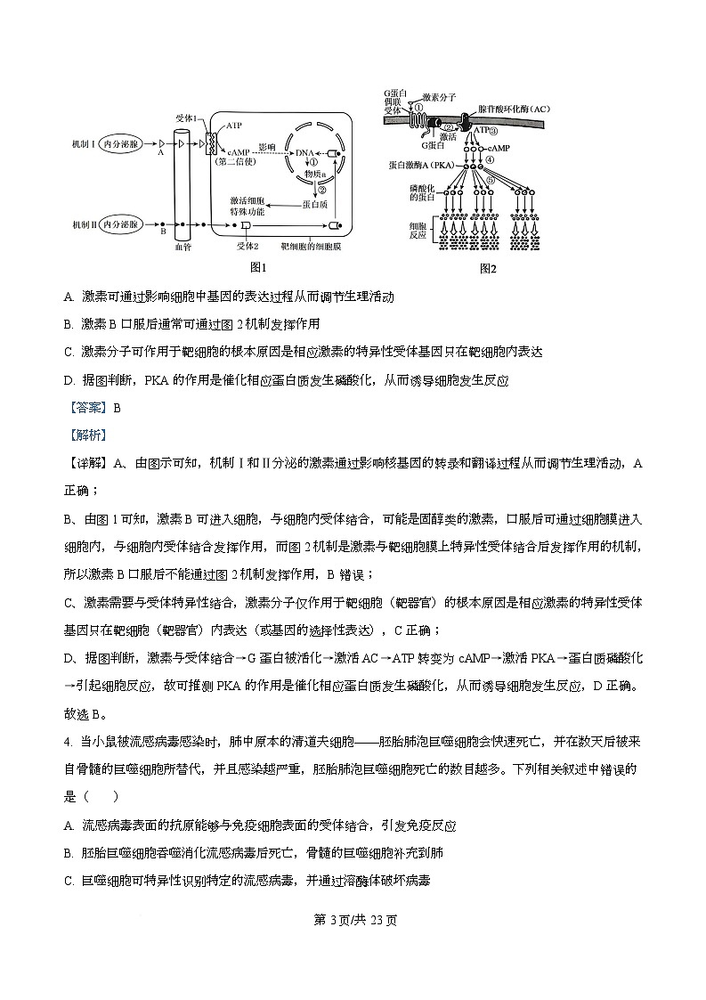 湖北武汉二中2025-2026学年度上学期高二年级期末考试生物试卷 Word版含解析第3页