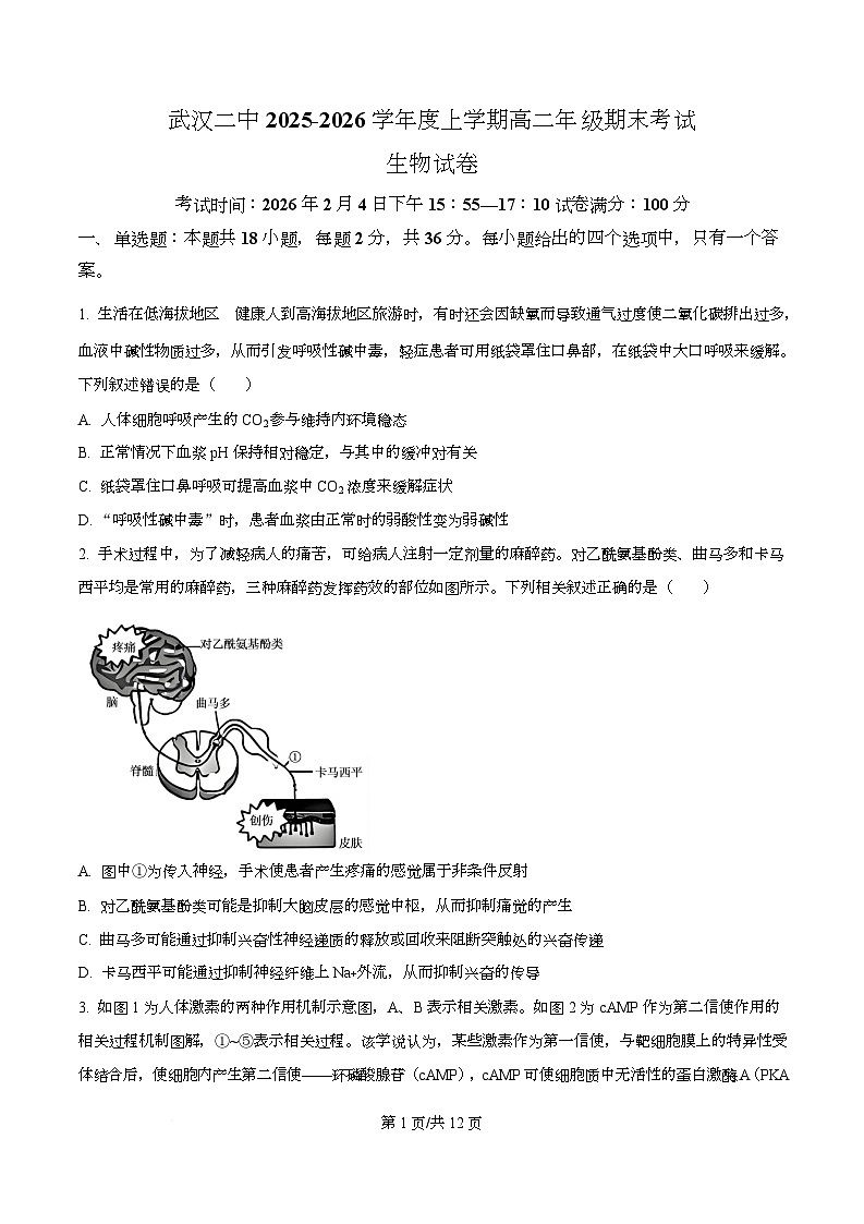 湖北武汉二中2025-2026学年度上学期高二年级期末考试生物试卷 Word版无答案第1页