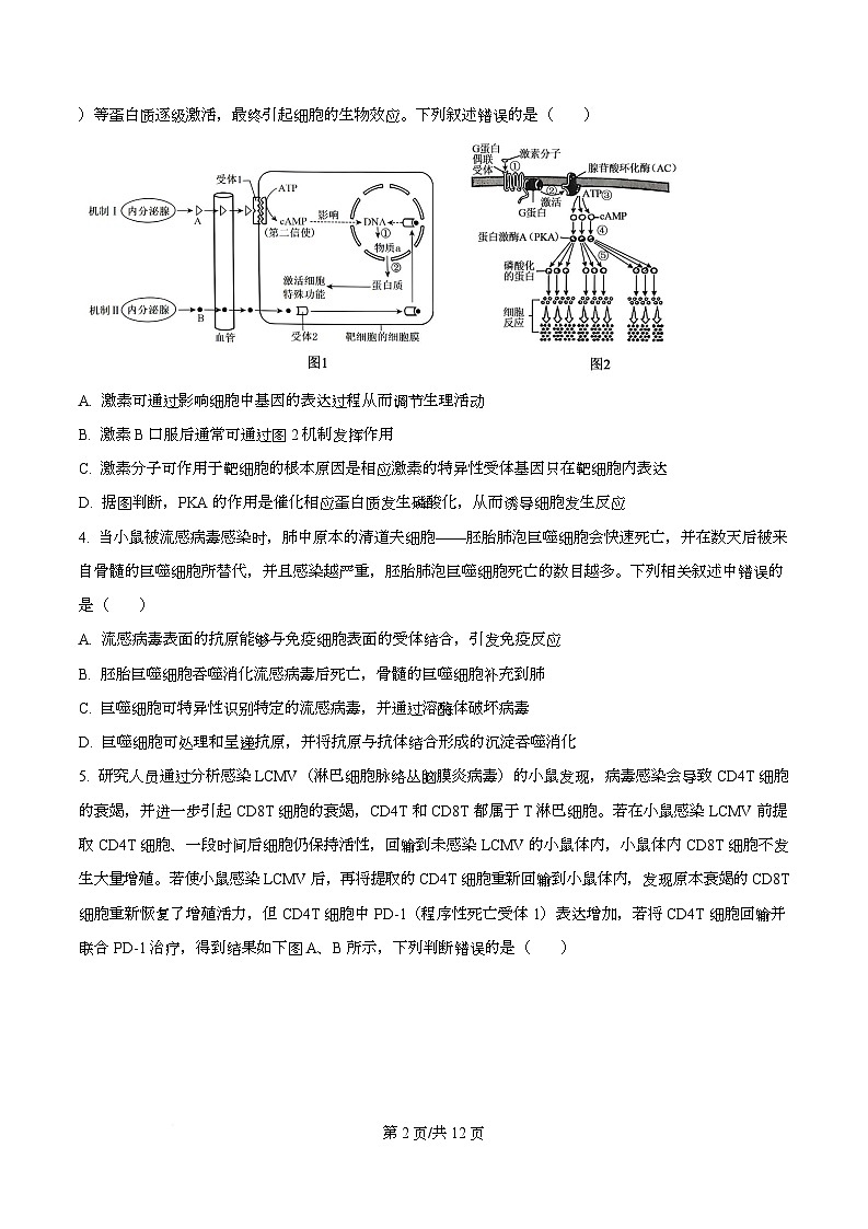湖北武汉二中2025-2026学年度上学期高二年级期末考试生物试卷 Word版无答案第2页