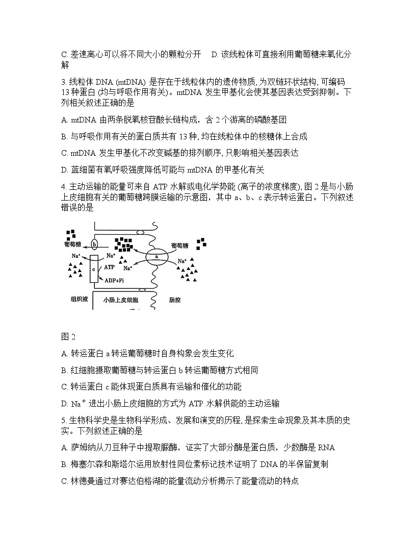 广东省梅州市2026年高三高考一模生物试卷含答案第2页