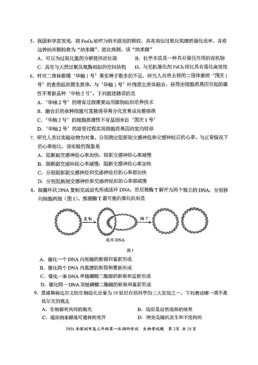 广东深圳市2026届下学期高三一模调研考试 生物试卷及答案第2页