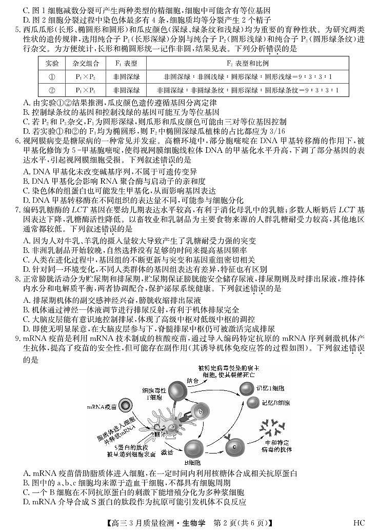 黑吉辽蒙九师联盟2026届高三下学期3月质量检测 生物第2页