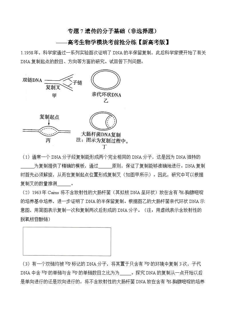 专题7 遗传的分子基础(非选择题)——高考生物学模块分练【新高考版】(含解析)第1页