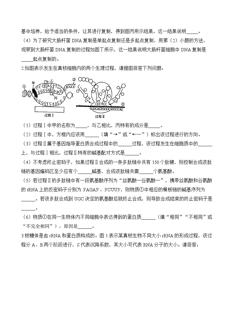 专题7 遗传的分子基础(非选择题)——高考生物学模块分练【新高考版】(含解析)第2页