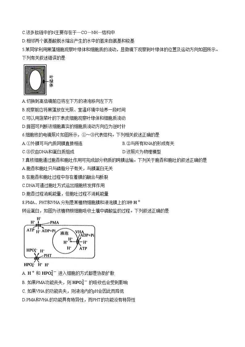 河南省平顶山市2025_2026学年高一下学期3月学情自测生物试题(文字版,含答案)第2页