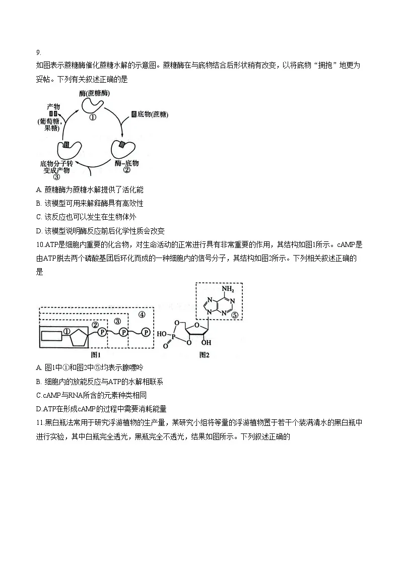 河南省平顶山市2025_2026学年高一下学期3月学情自测生物试题(文字版,含答案)第3页