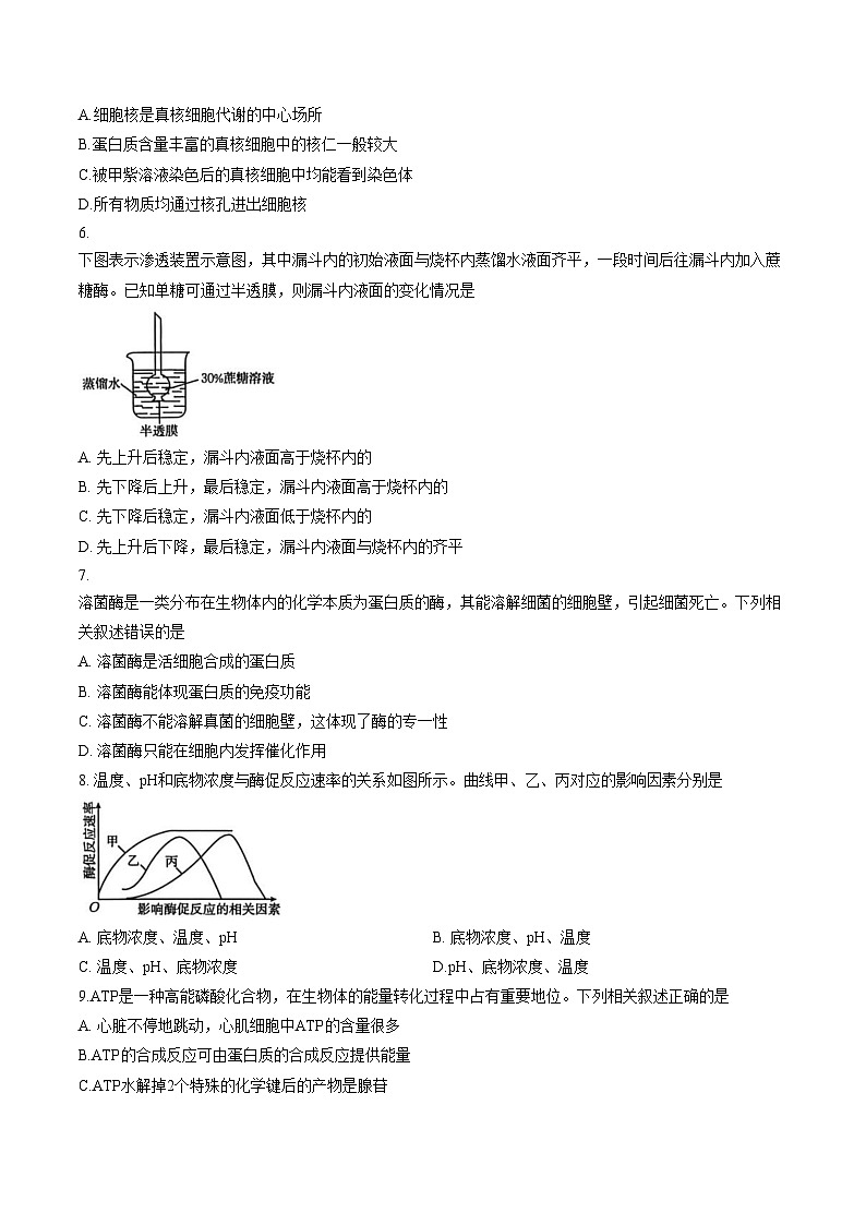 河北邢台市2025_2026学年高一上学期2月学业水平调研生物学试题(文字版,含答案)第2页