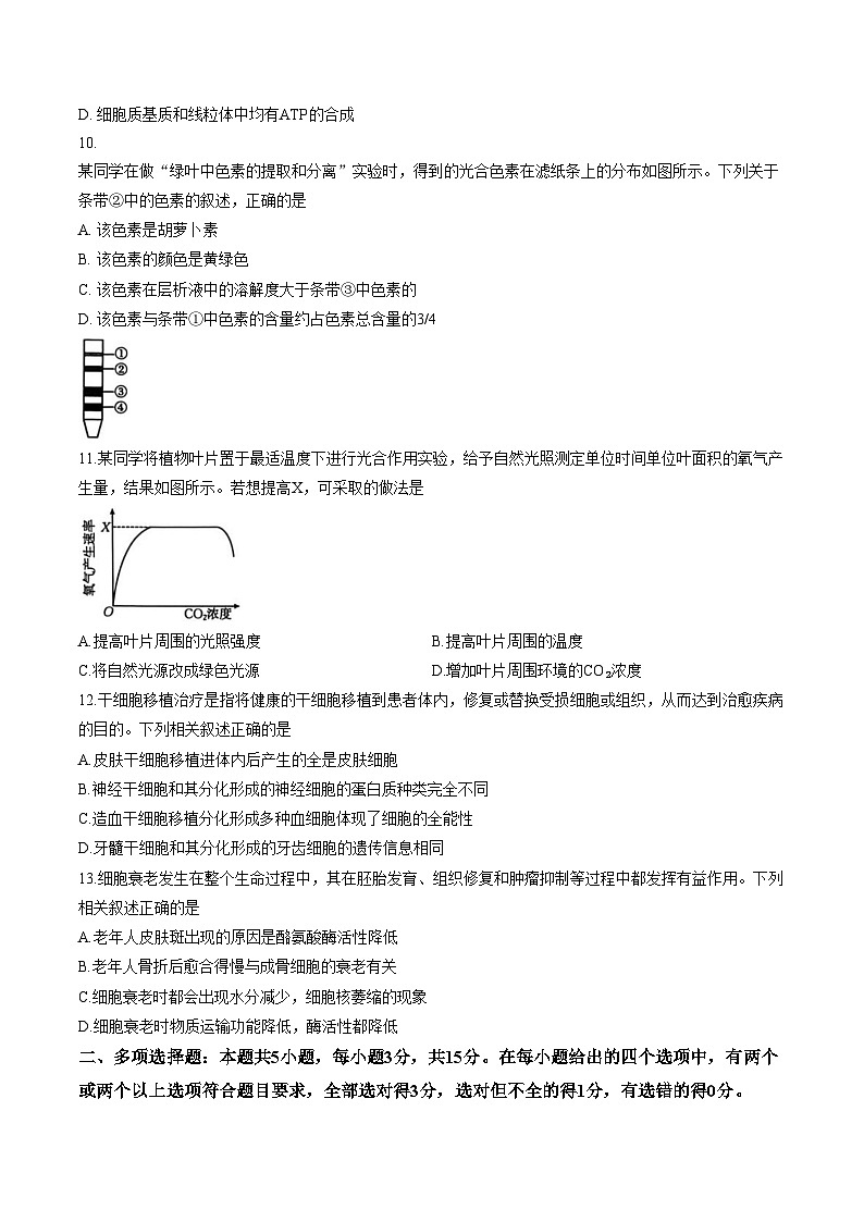 河北邢台市2025_2026学年高一上学期2月学业水平调研生物学试题(文字版,含答案)第3页