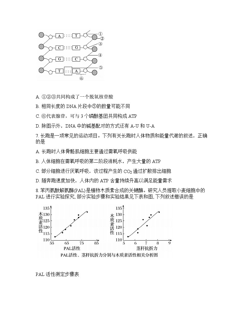 浙江强基联盟2025-2026学年下学期3月高二联考生物试卷含 答案第2页