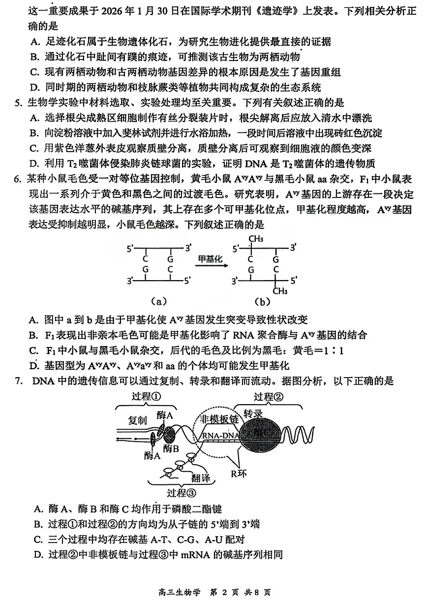 生物试卷-大同市2026届高三年级第一次模拟考试质量监测试卷第2页