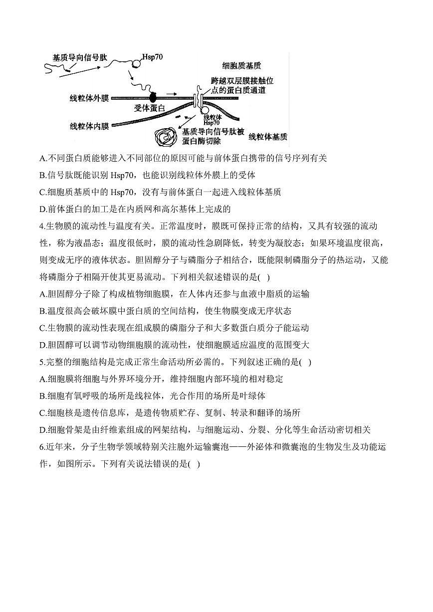专题2 细胞的结构与物质运输(选择题)——高考生物学第一轮复习模块分练【新高考版】(含解析)第2页