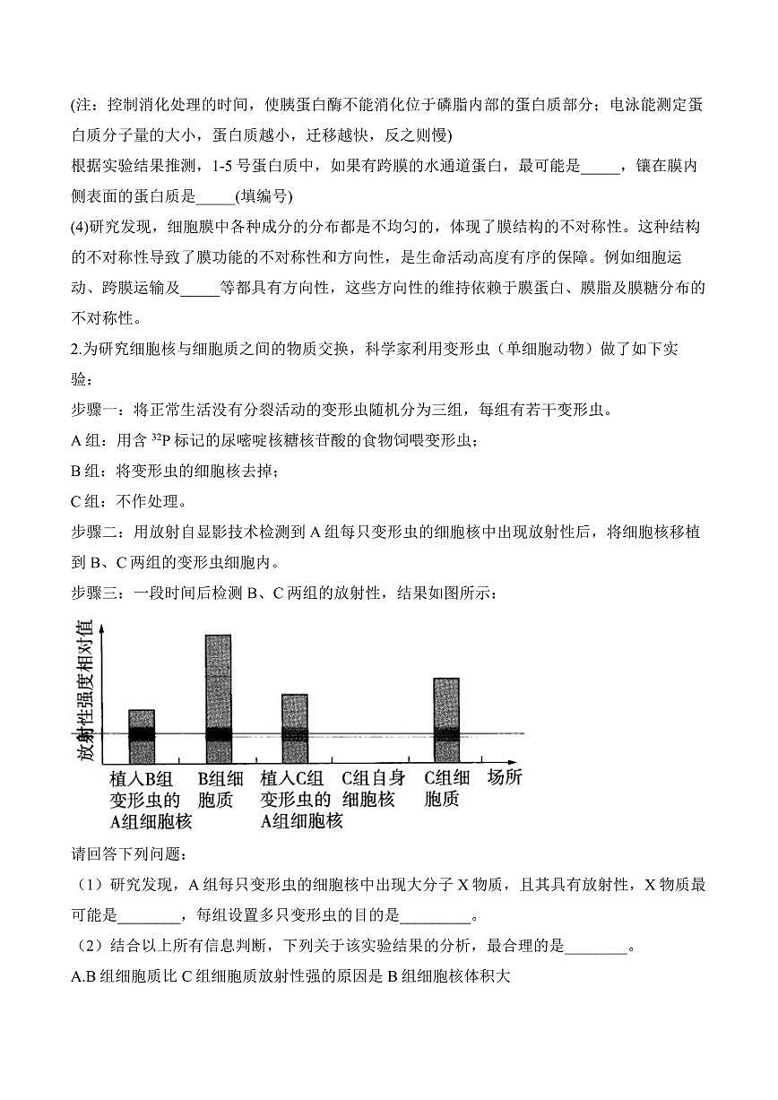 专题2 细胞的结构与物质运输(非选择题)——高考生物学第一轮复习模块分练【新高考版】(含解析)第2页