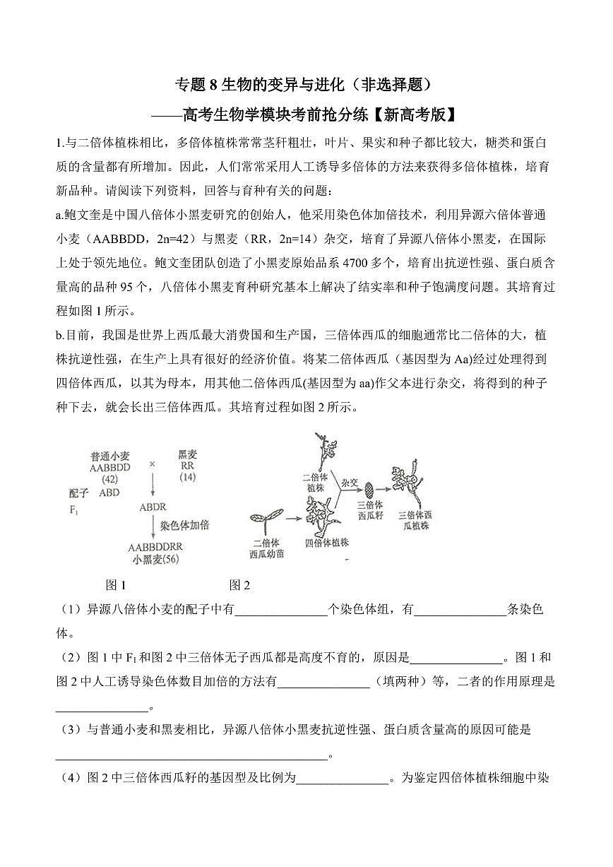 专题8 生物的变异与进化(非选择题)——高考生物学第一轮复习模块分练【新高考版】(含解析)第1页
