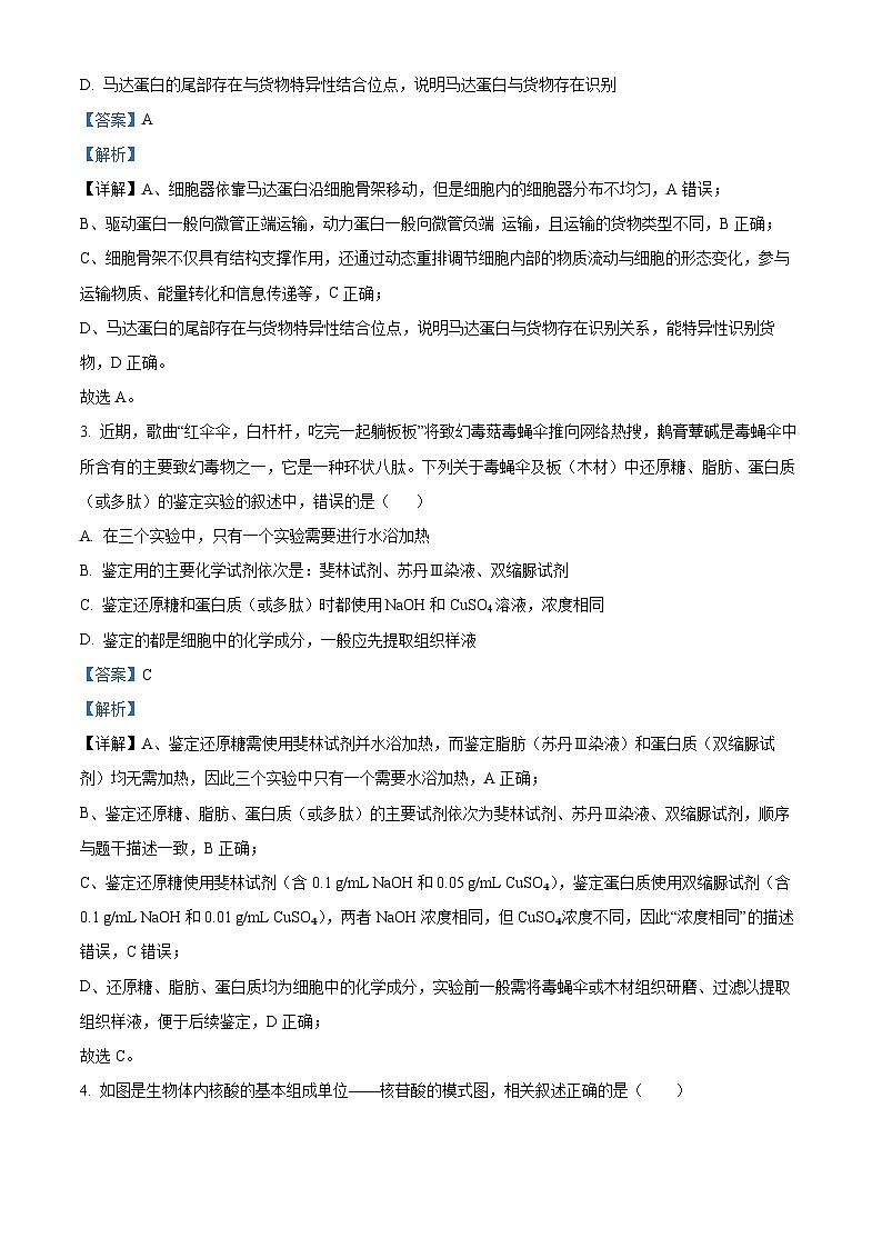 安徽六安市第一中学2025年秋学期高一年级期考试生物试卷(解析版)第2页