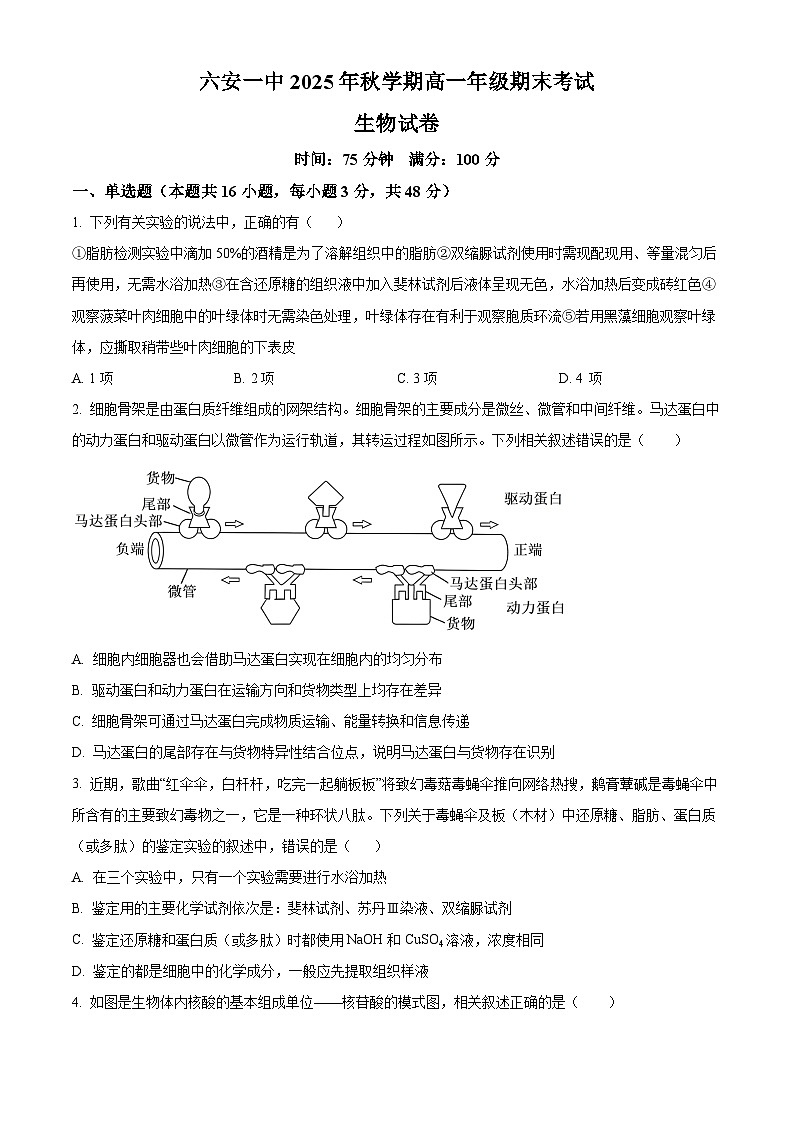 安徽六安市第一中学2025年秋学期高一年级期考试生物试卷(原卷版)第1页