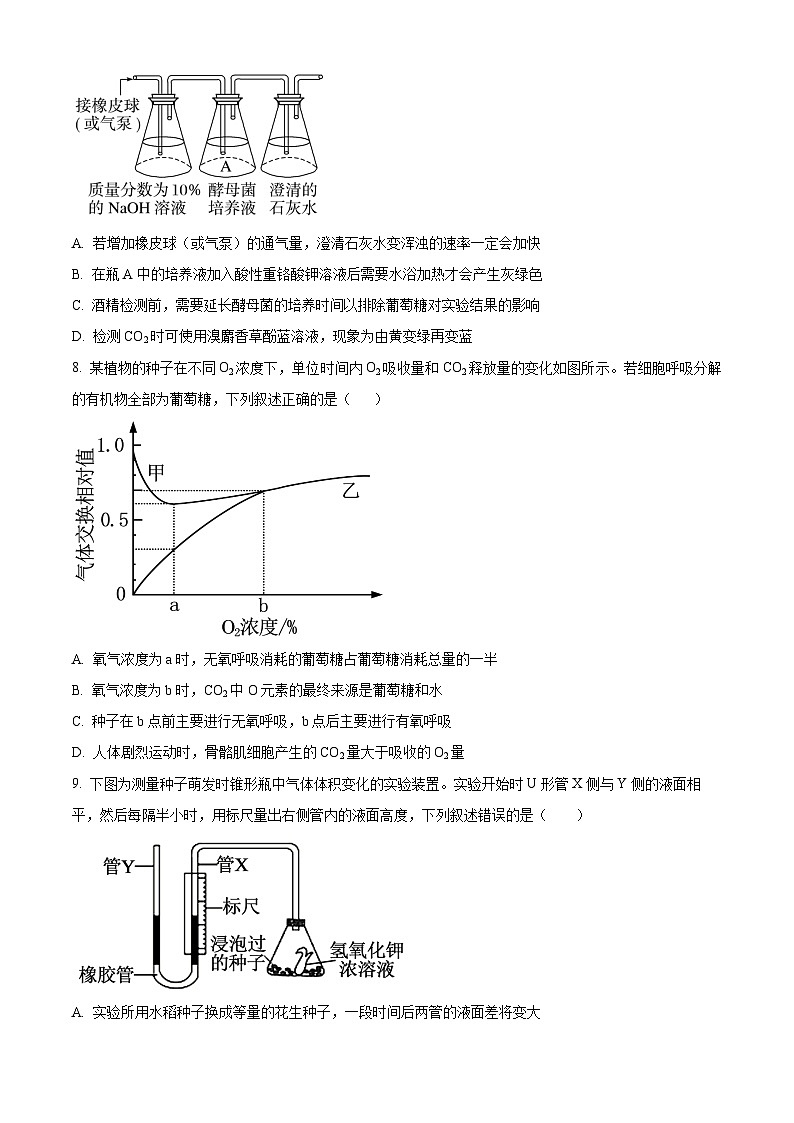 安徽六安市第一中学2025年秋学期高一年级期考试生物试卷(原卷版)第3页