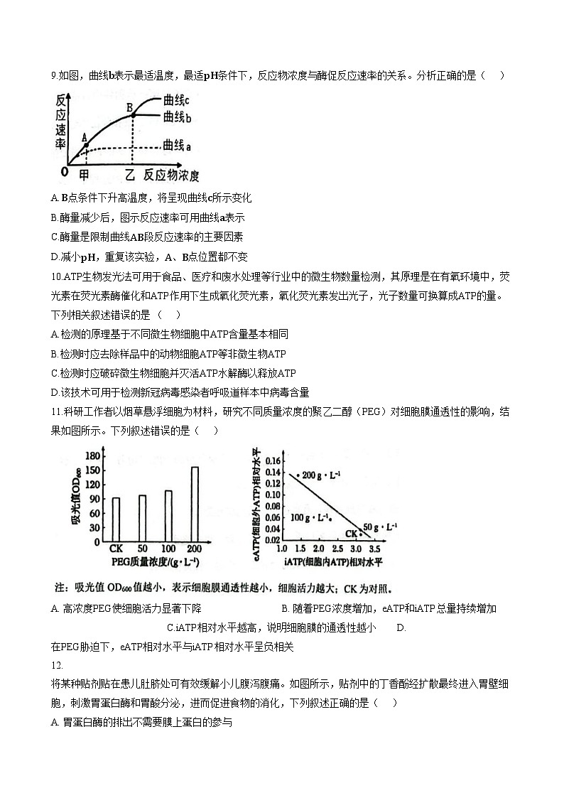 福建省莆田市一中2025_2026学年度高一上学期期末考试生物试卷(文字版,含答案)第3页