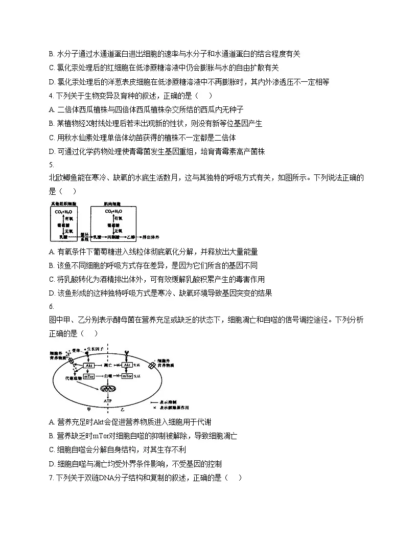 辽宁省沈阳市实验中学2026届高三上学期期中阶段测试生物试卷(文字版,含答案)第2页