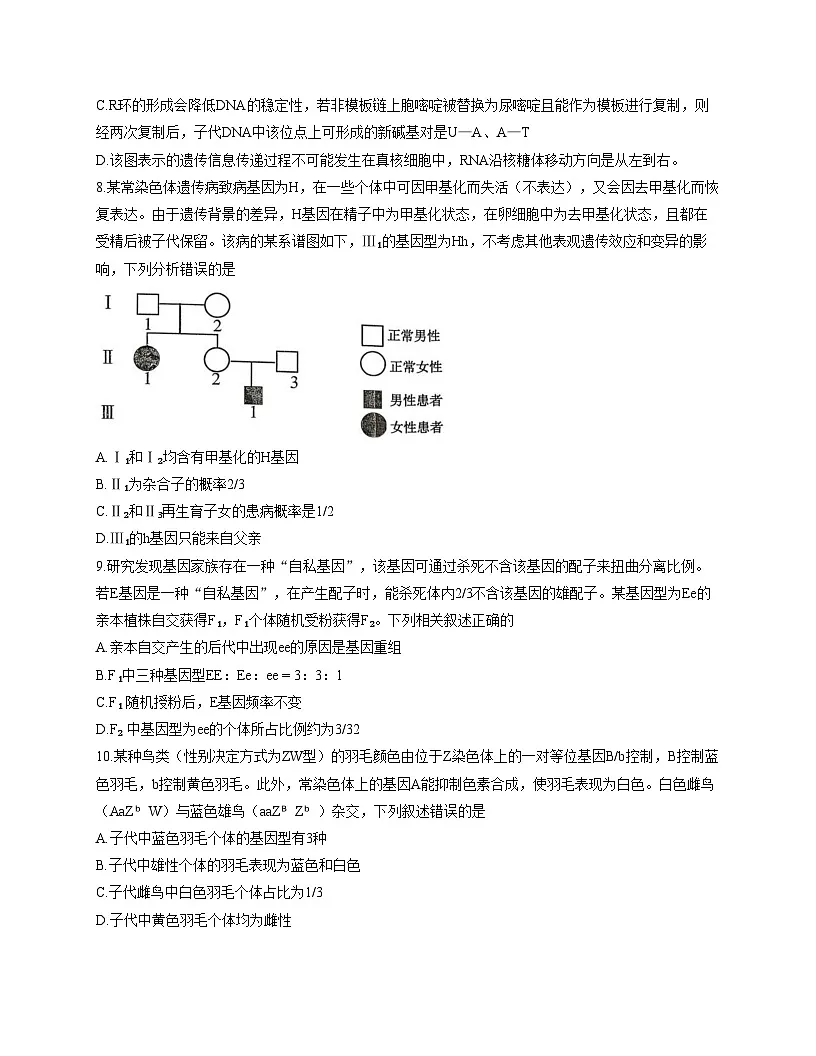 山东省枣庄市滕州市2025_2026学年高三上学期11月期中生物试题(文字版,含答案)第3页