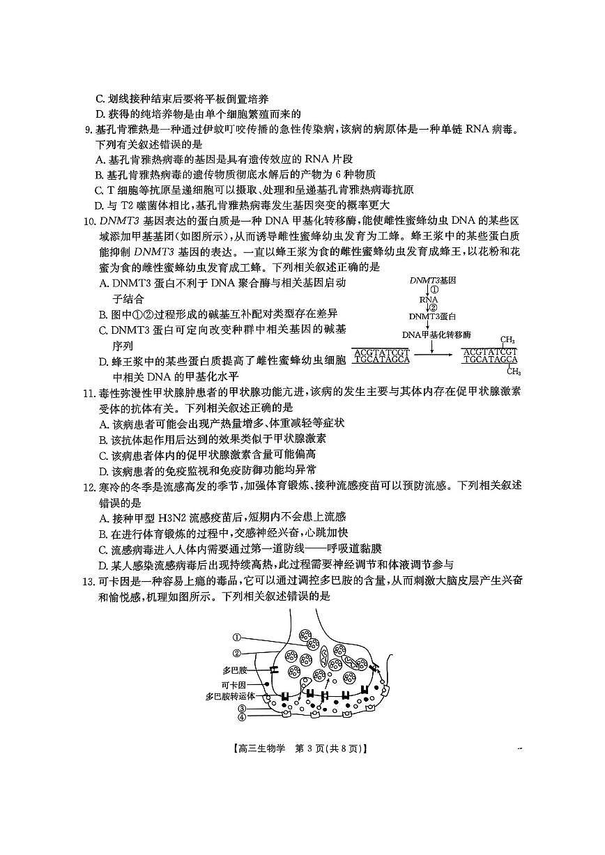 河南省2026届高三下学期3月开学联考 生物第3页