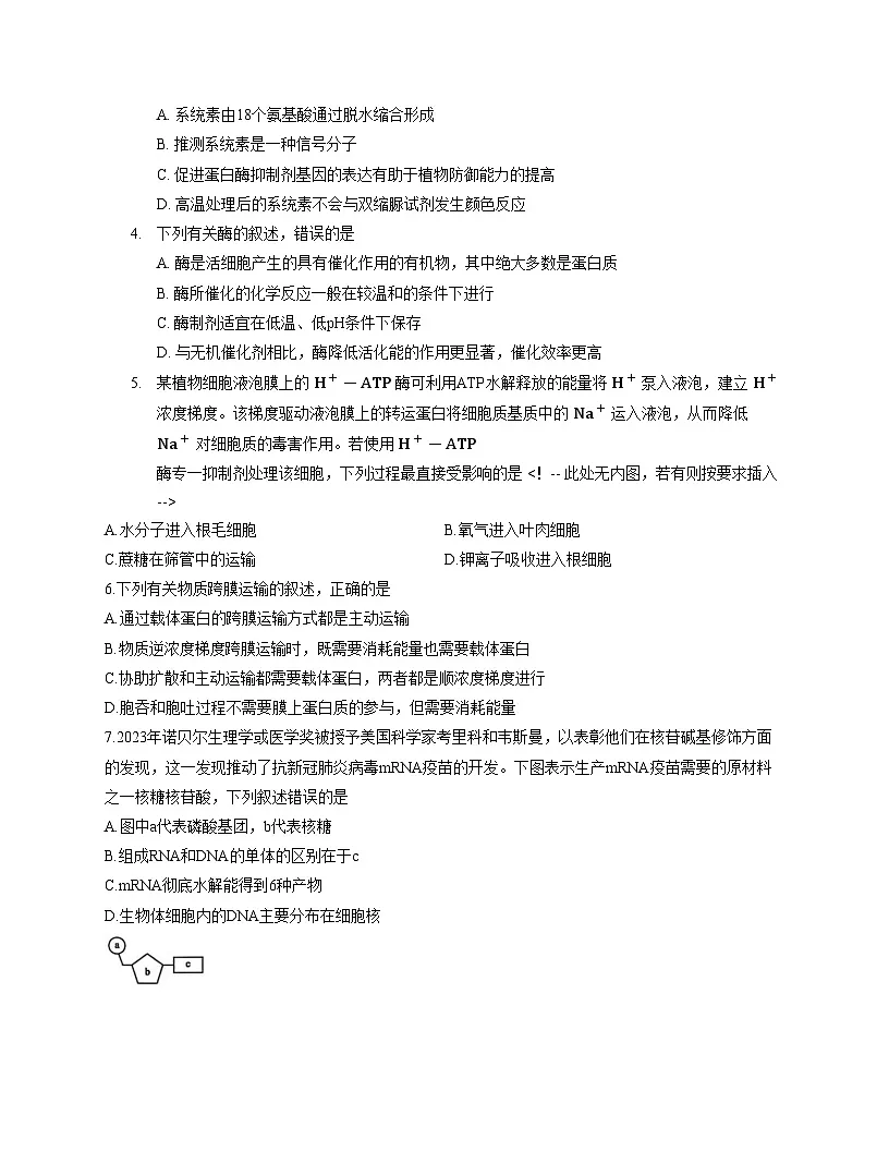 河北省衡水市冀州区河北冀州中学2025_2026学年高三上学期11月期中生物试题(文字版,含答案)第2页