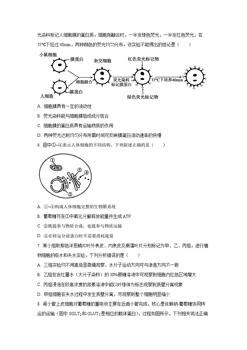 【生物】江西吉安市2025-2026学年高一上学期期末教学质量检测试题(学生版)第2页