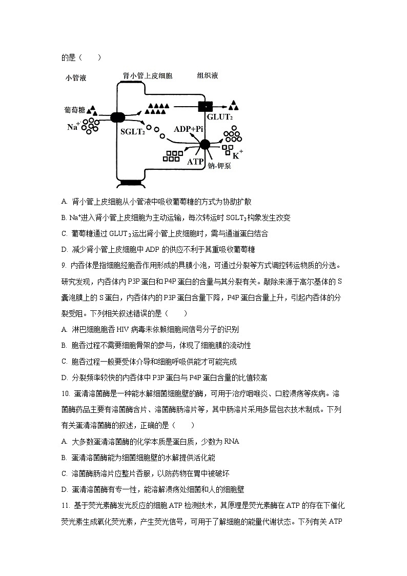 【生物】江西吉安市2025-2026学年高一上学期期末教学质量检测试题(学生版)第3页