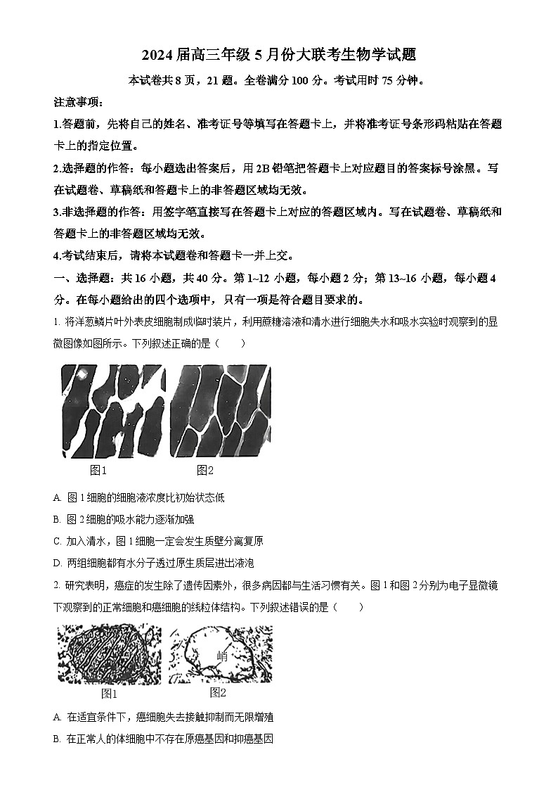2024届广东省高三下学期5月三模生物试题(原卷版)-A4第1页