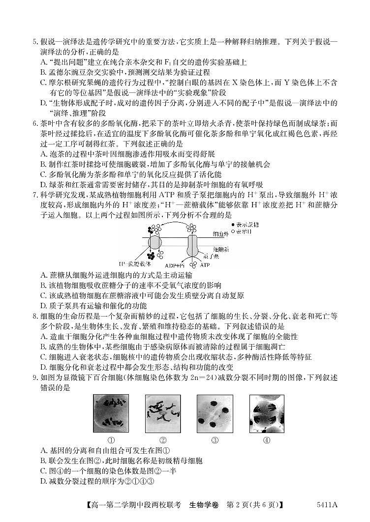 广东省江门市两校高一下学期期中联考生物试题(1)第2页