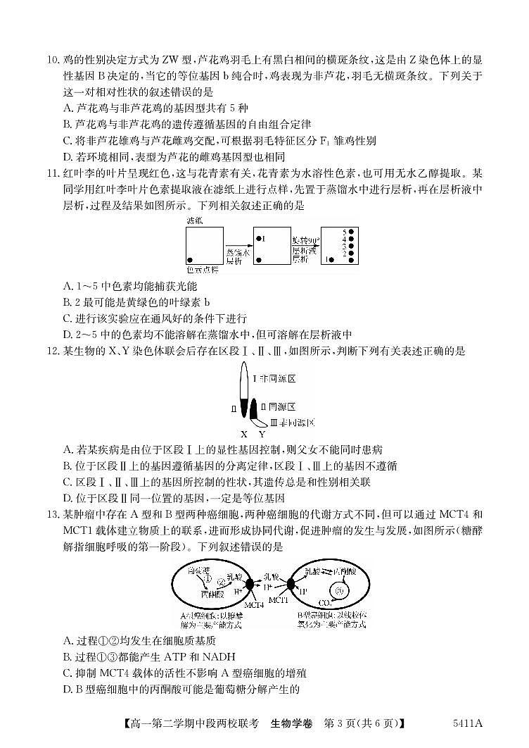 广东省江门市两校高一下学期期中联考生物试题(1)第3页