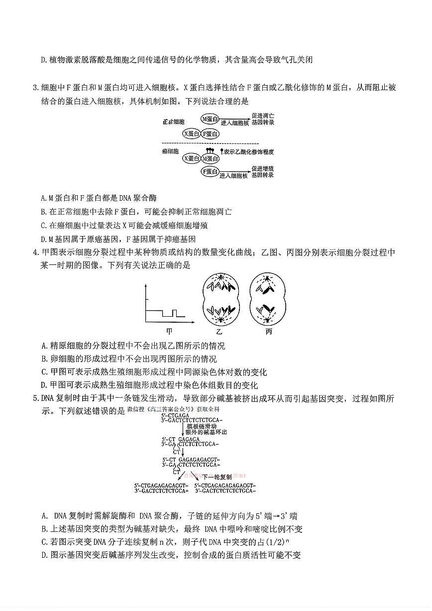 2026年雅礼七高三下学期3月生物试题及答案第2页