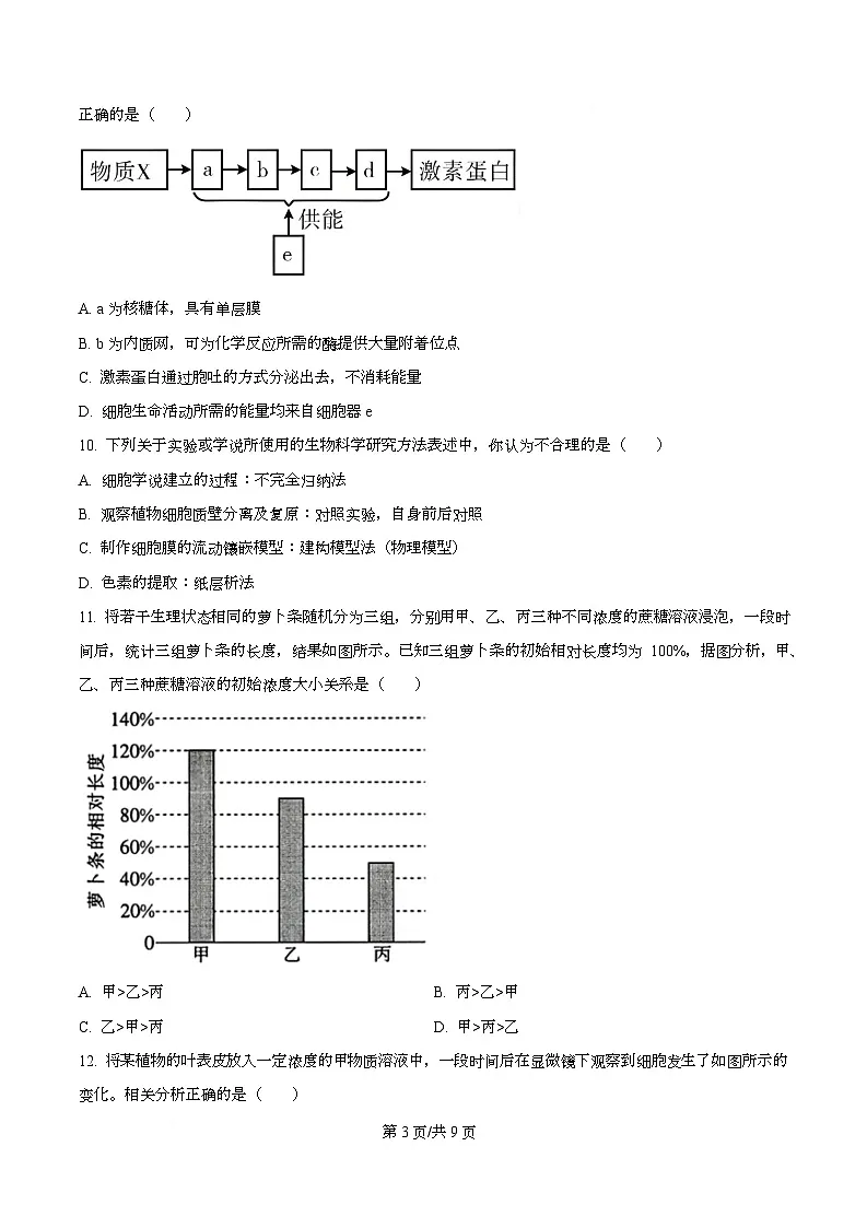 市示范2024-2025学年高一上学期期末生物试卷 Word版无答案第3页