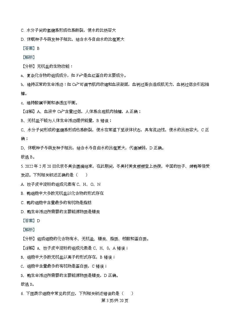 市示范2024-2025学年高一上学期期末生物试卷 Word版含解析第3页