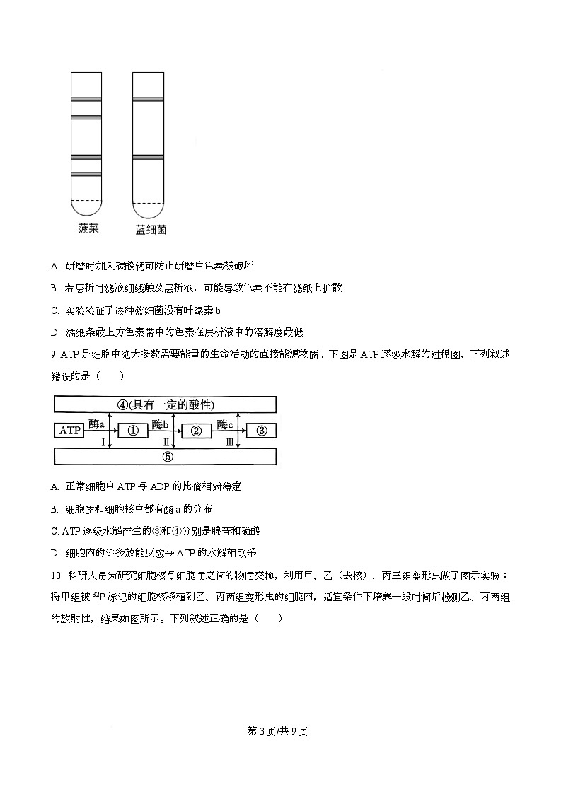 湖南永州市2025-2026学年高一上学期期末考试生物试题 Word版无答案第3页