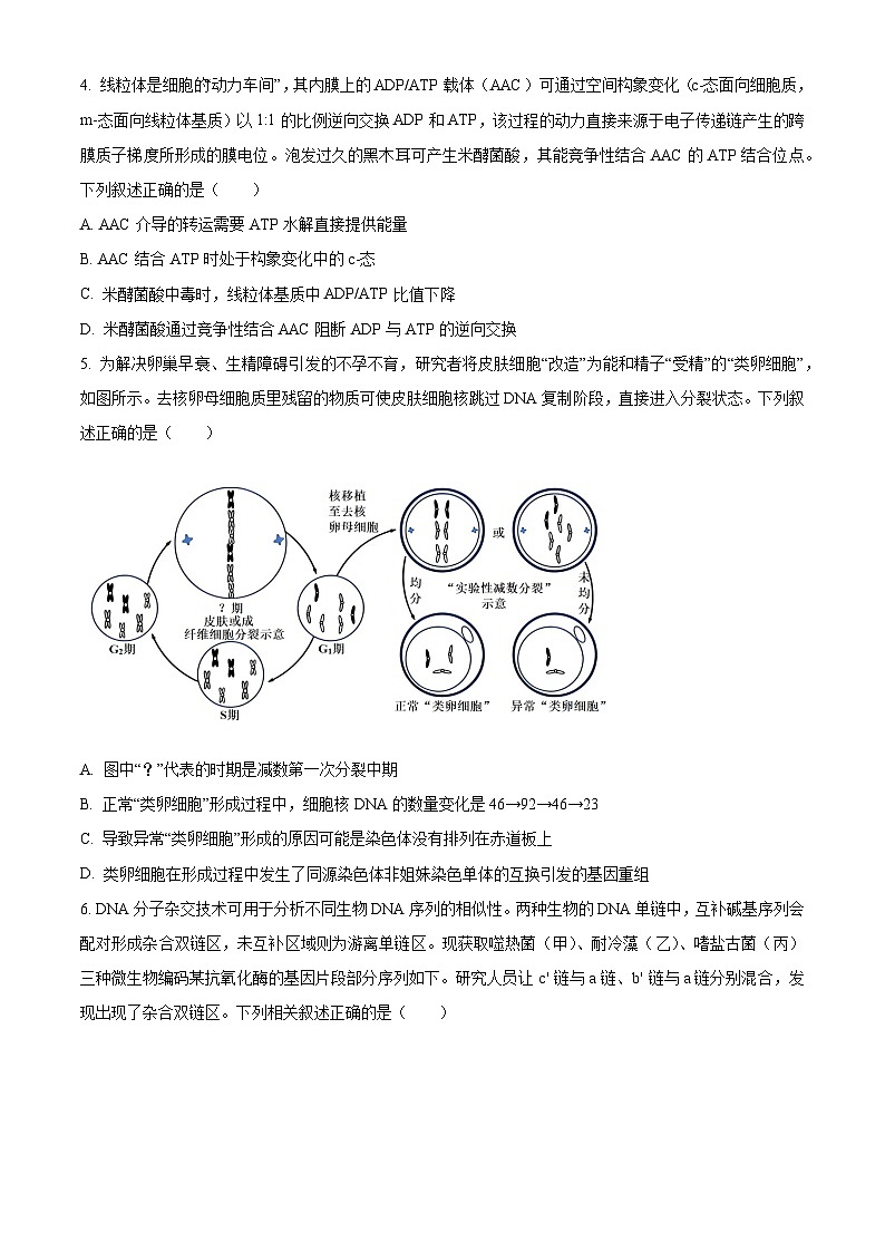 重庆市西南大学附属中学2026届高三下学期开学考试生物(原卷版)第2页