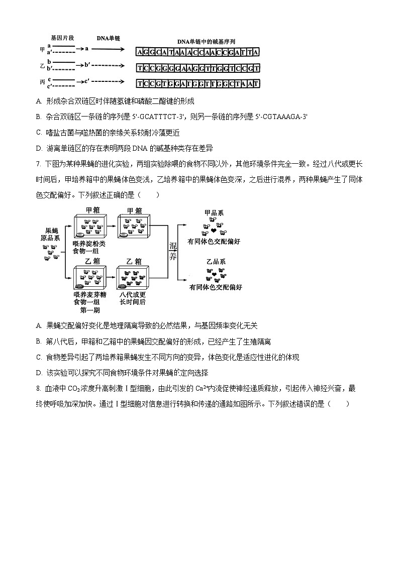 重庆市西南大学附属中学2026届高三下学期开学考试生物(原卷版)第3页
