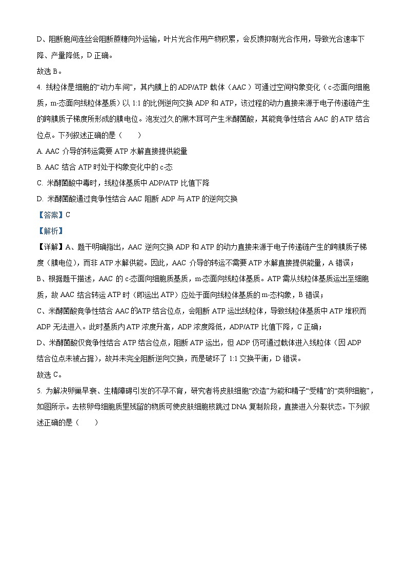 重庆市西南大学附属中学2026届高三下学期开学考试生物 Word版含解析第3页