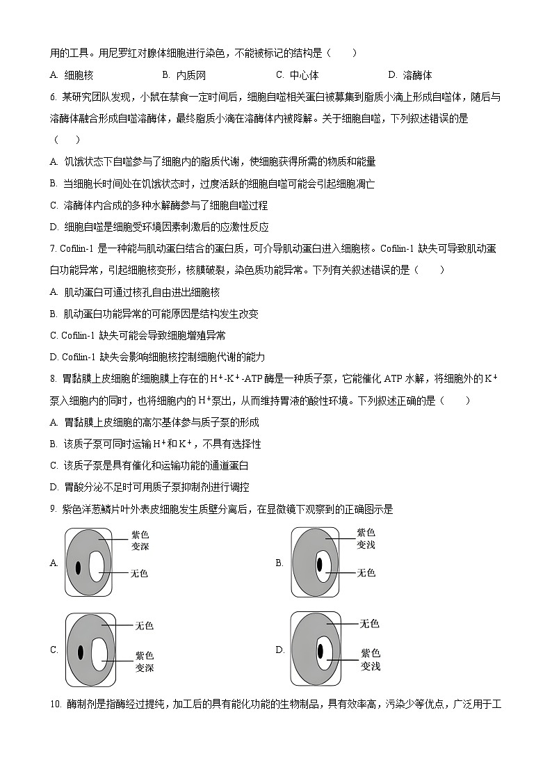 安徽省合肥市第五中学等校2025年秋季学期期末考试高一年级生物试卷(原卷版)第2页