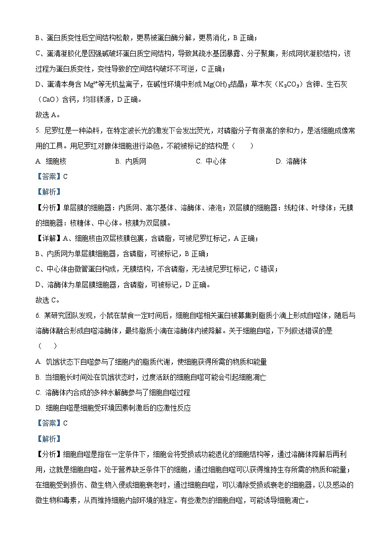 安徽省合肥市第五中学等校2025年秋季学期期末考试高一年级生物试卷(解析版)第3页