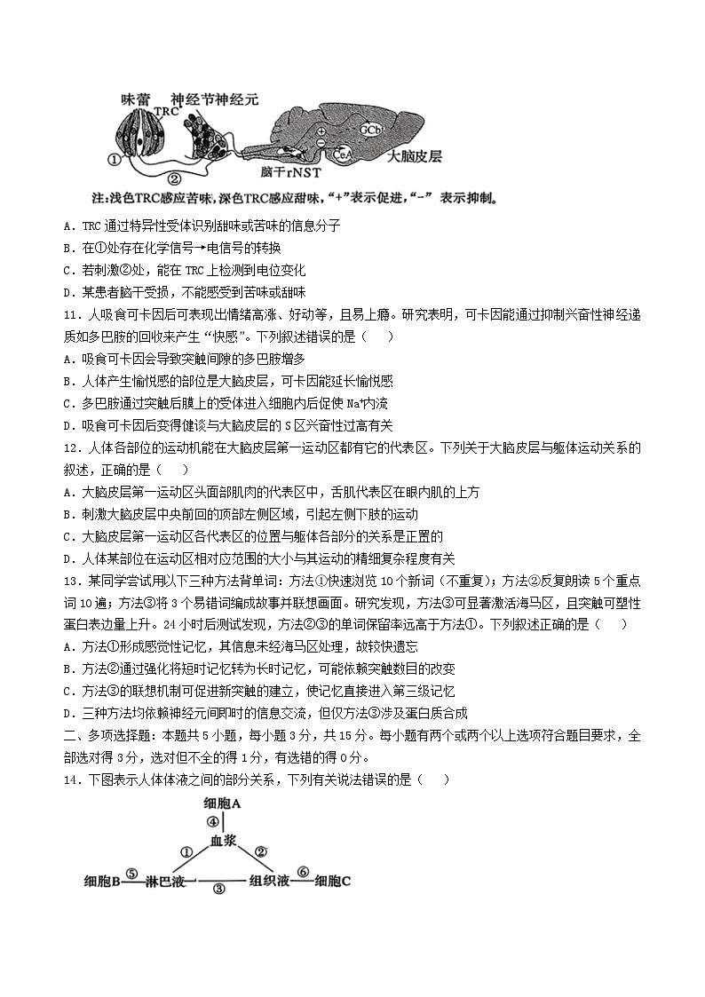 河北省邢台市2025_2026学年高二生物上学期10月第一次月考试题第3页