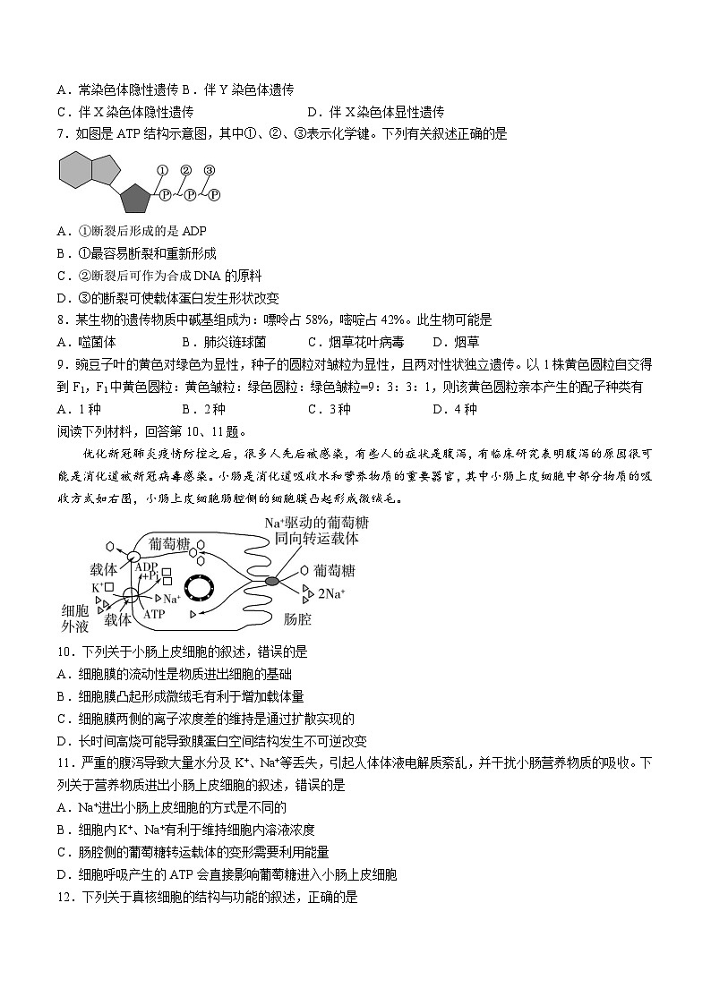 浙江省钱塘联盟2022-2023学年高一下学期期中联考试题+生物 含答案第2页