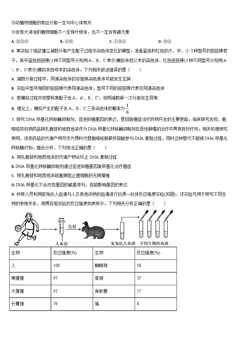 吉林省梅河口市第五中学2026届高三上学期1月期末考试生物试题(Word版附答案)第2页