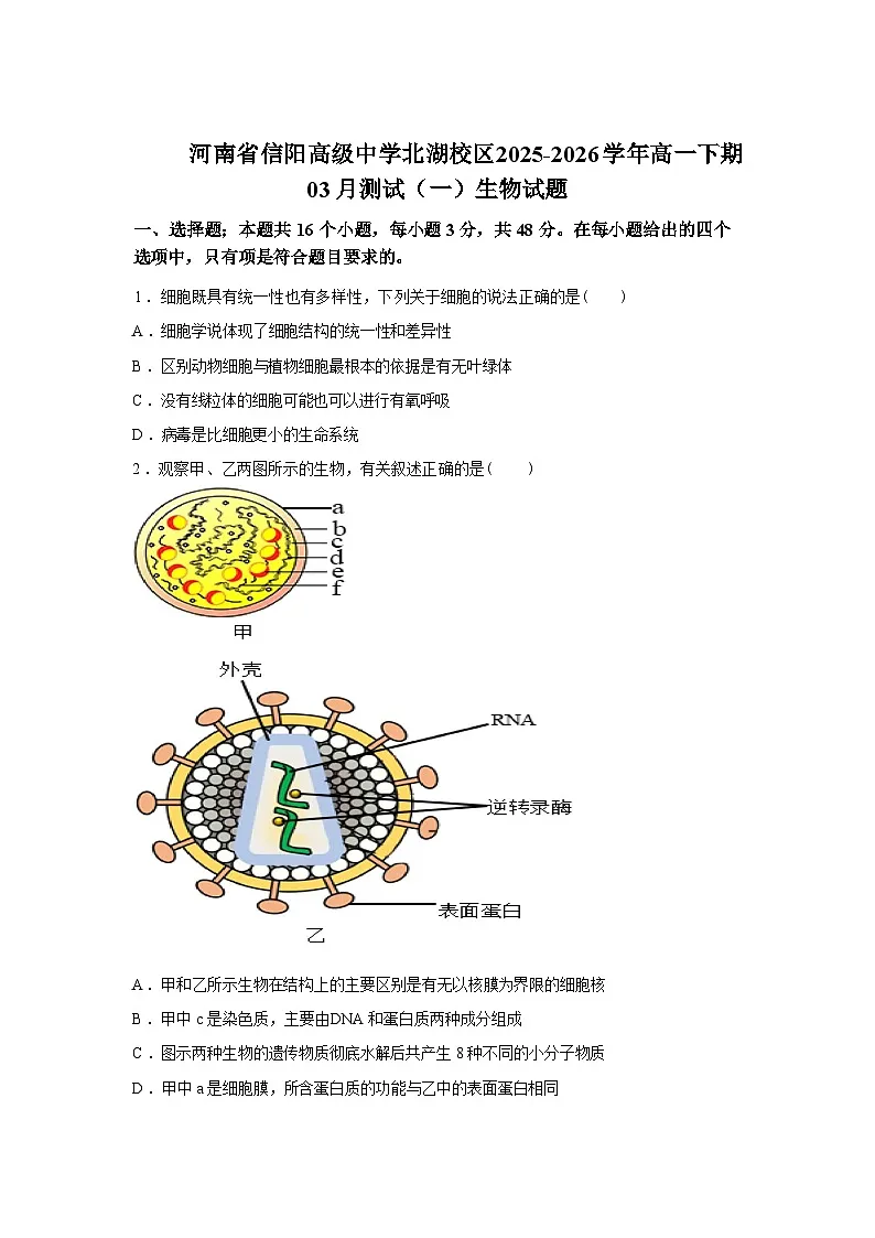 河南信阳高级中学北湖校区2025-2026学年高一下学期03月测试(一)生物试题含答案第1页